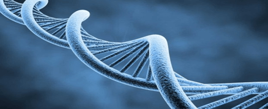analisis tecnico sector biotecnologia
