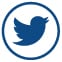twitter logo button